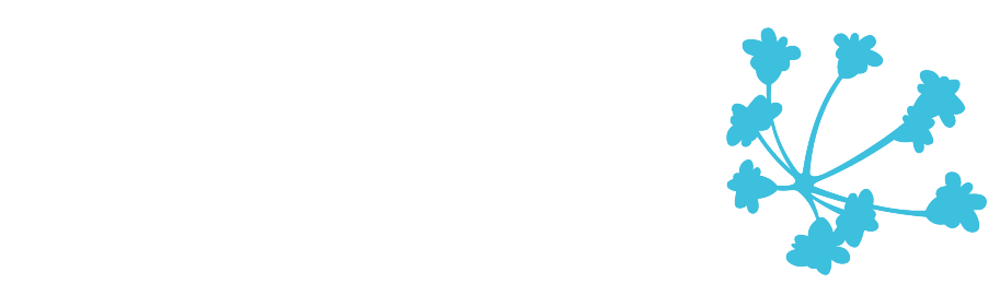 The Center for Scientific Collaboration and Community Engagement (CSCCE) logo