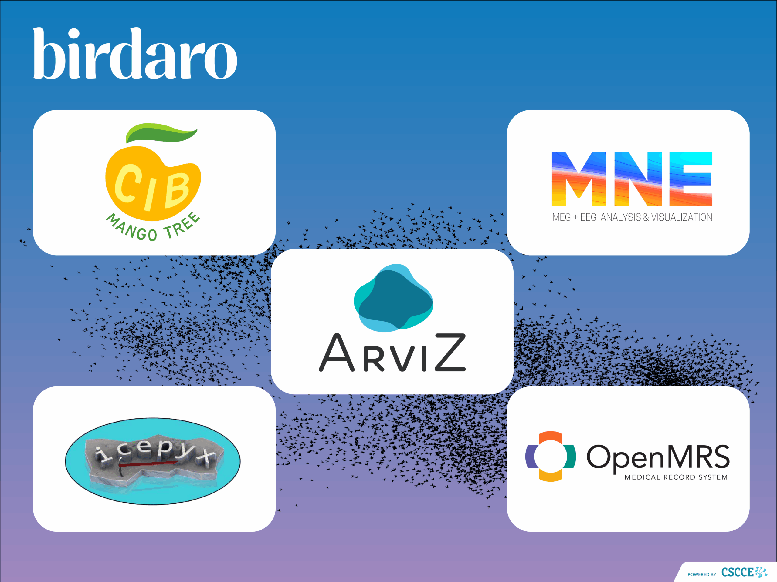 A collage of project logos including CIB Mango Tree, MNE-Python, ArviZ, icepyx, and OpenMRS.